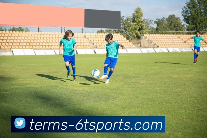 6T体育服务体系